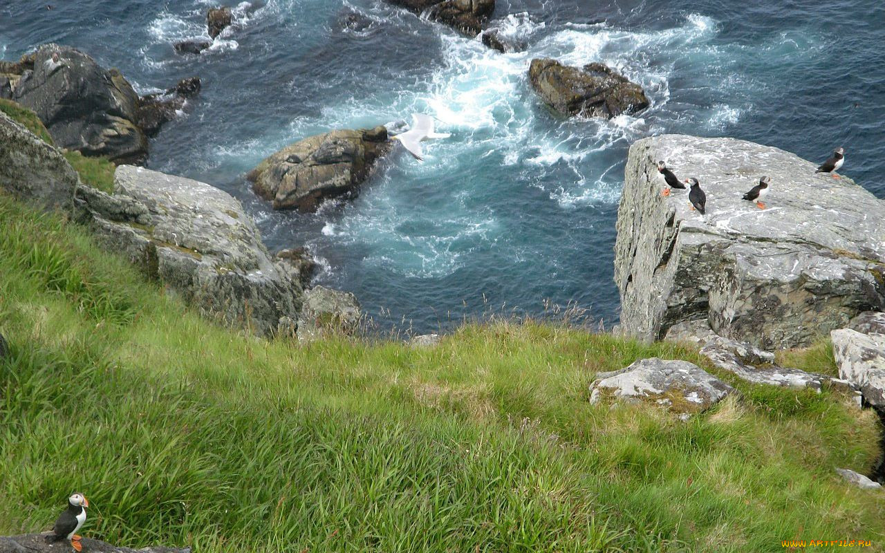 runde, norway, , 
